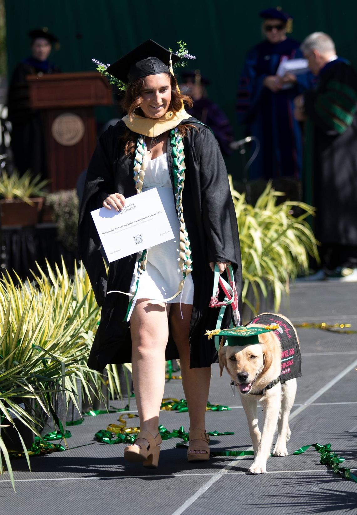 Cal Poly kicked off graduation weekend with three ceremonies on June 15, 2024. The university expects to celebrate more than 6,300 graduates throughout the weekend. Kendal Jamison walks down the ramp with her service dog Tonga after receiving her diploma.
