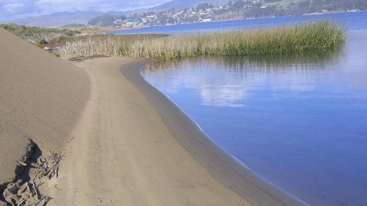 A remote sandspit, part of Morro Bay State Park, is home to golden eagles, deer, sandpipers and egrets.