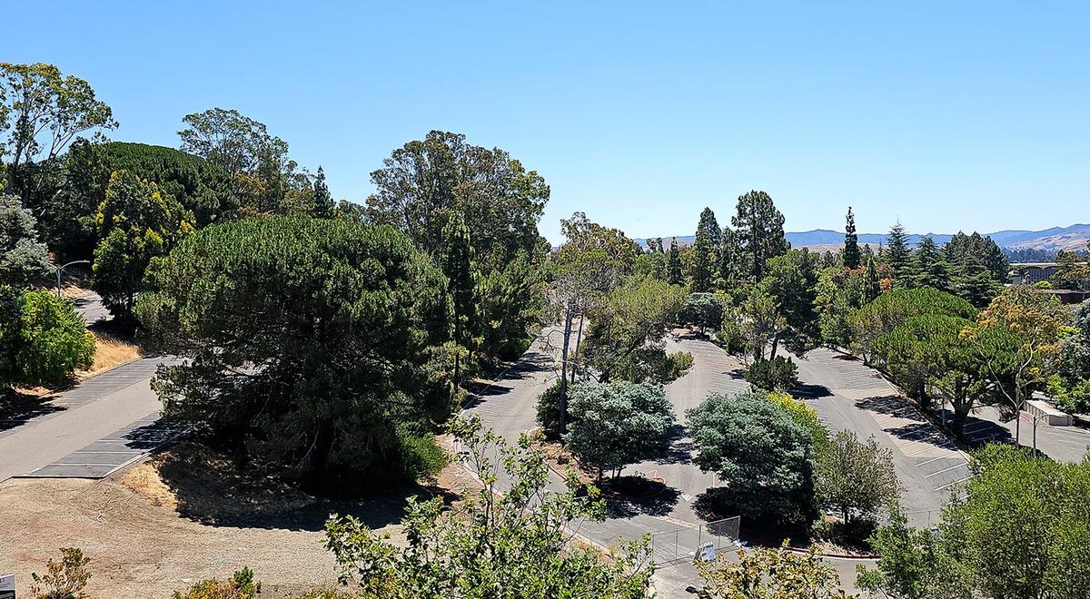 Cal Poly’s Future Housing Plan will add 4,100 beds in nine new on-campus residence halls that will be built on current student parking lots and at the site of the current North Mountain buildings, which will be demolished.