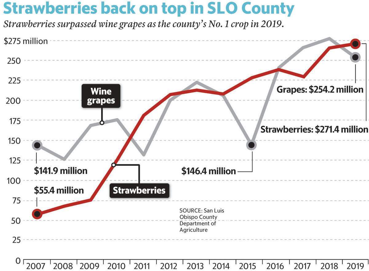 How wine grapes and strawberries compared since 2007.