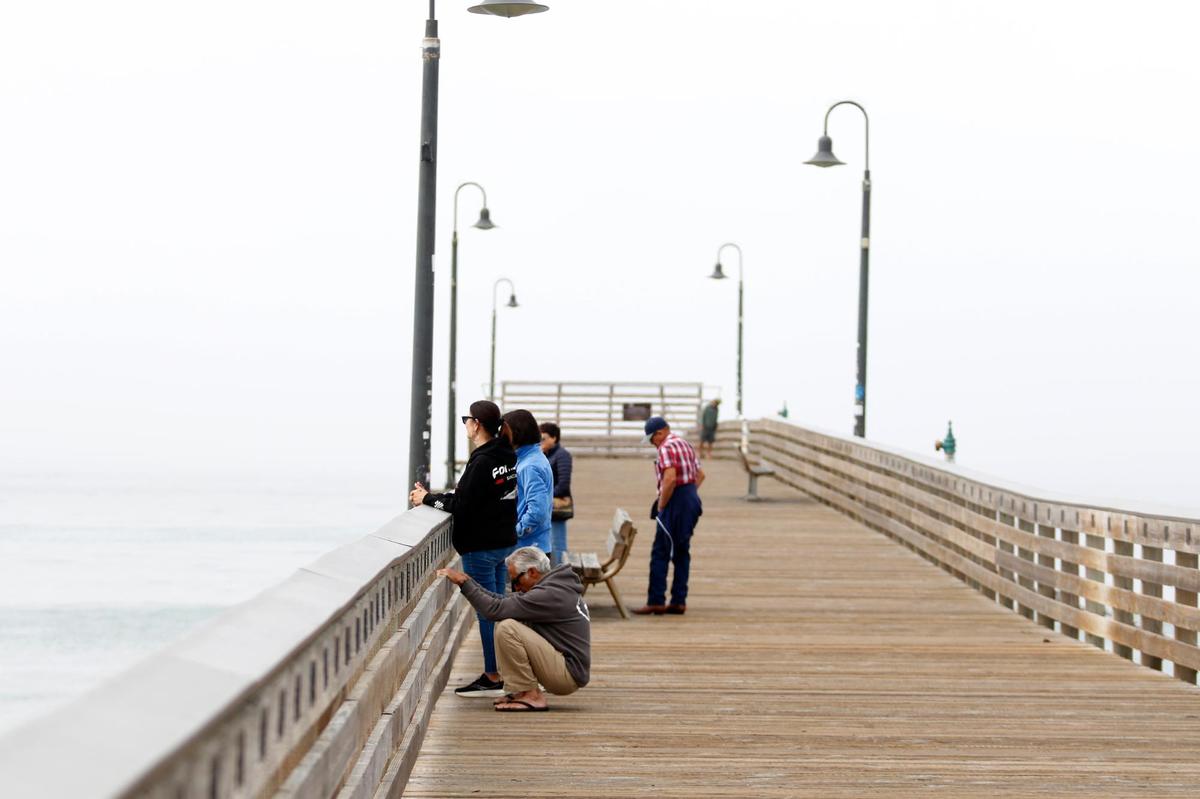 The end of the Cayucos Pier was damaged in a Feb. 20, 2024, storm that knocked loose multiple pilings. People enjoy a walk on the pier, Saturday, May 31, 2025.