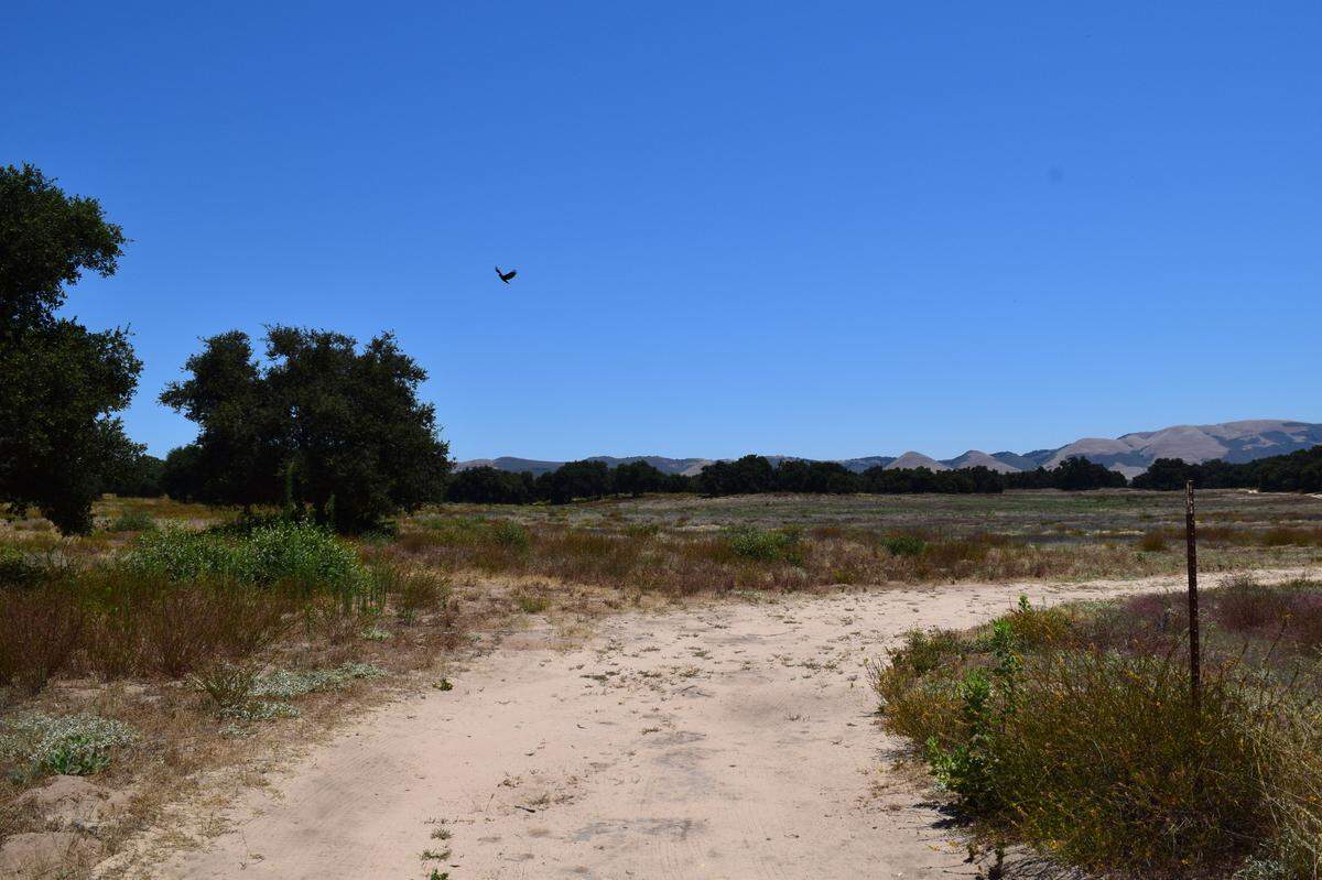 View from Herick Avenue in Nipomo of the lot where the Dana Reserve could be developed.