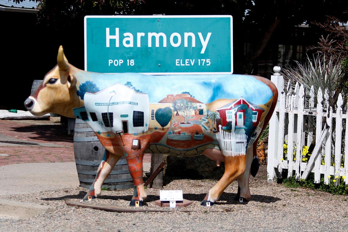 This sign was on Highway 1 for decades. It’s now downtown, still proclaiming the population to be 18. At one time, according to historian Debbie Soto in her book “Living in Harmony,” 18 was reputed to be the rather arbitrarily determined number of people living on the ranches next to and in Harmony.
