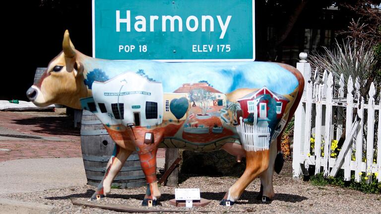 What to do in a town with a population of 18? In Harmony on CA’s Central Coast — plenty