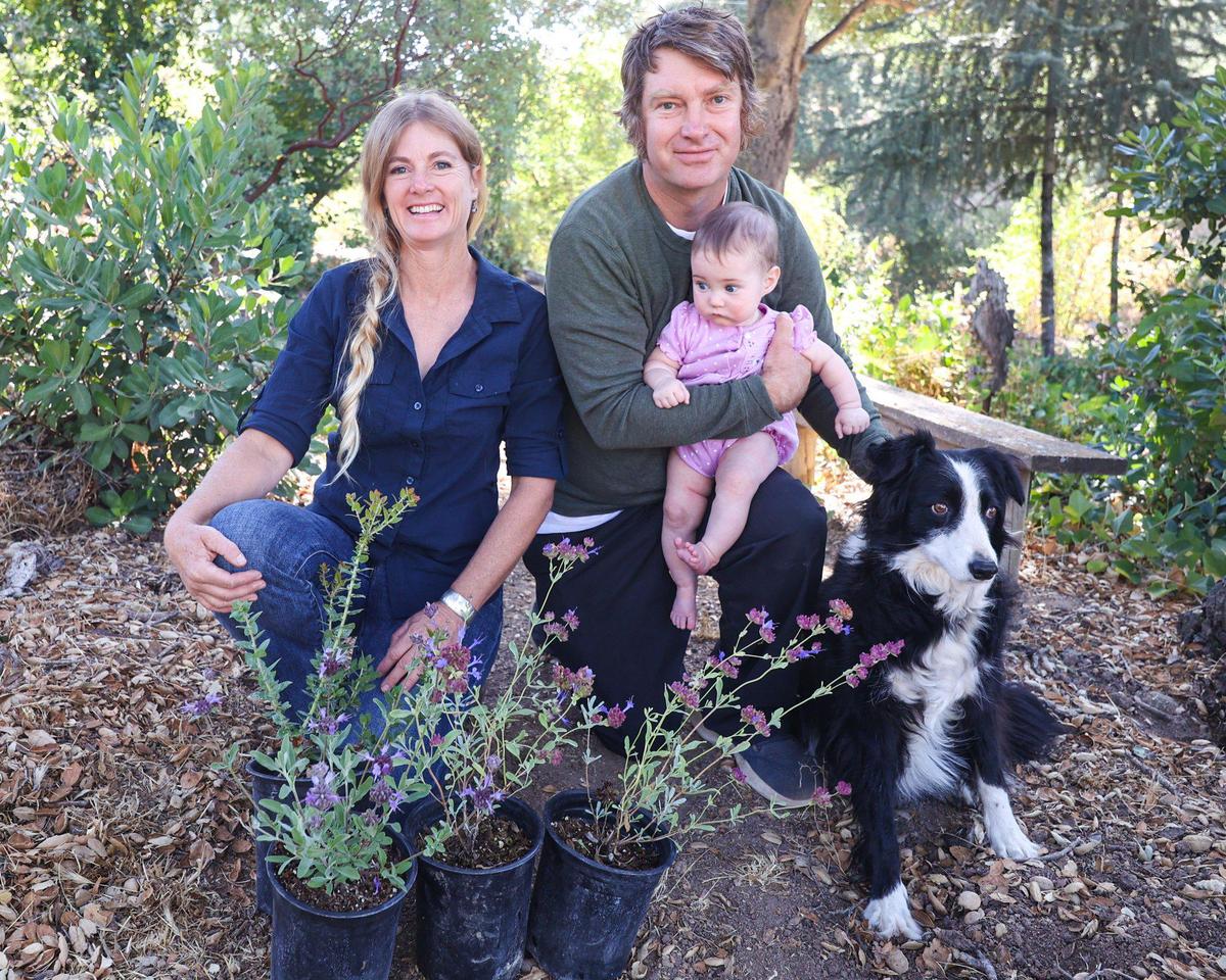 Co-owners of Las Pilitas nursery Penny Nyunt and her brother Ian Wilson, holding his daughter Lucy and dog Stella. Las Pilitas Nursery a leading provider of California native plants, is reopening to the public, seen here Sept. 7, 2023