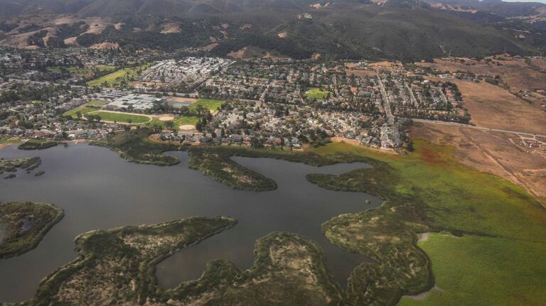 Laguna Lake has become a weed-infested swamp. Why won’t the city do something? | Opinion