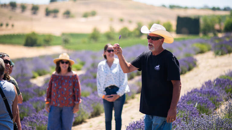 Open Farm Days Weekend returns to SLO County. Take a tour and get an inside look