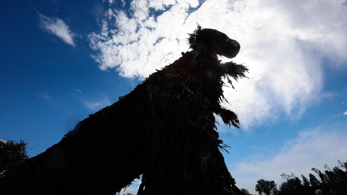 Cornosaurus Rex towers over the skyline at Cambria Drive and Main Street in Cambria. About 100 newly created scarecrows and up to 500 Scarecrows are on the streets in Cambria, San Simeon and Harmony as part of the 10th annual Scarecrow Festival. They will be out on the streets during October.