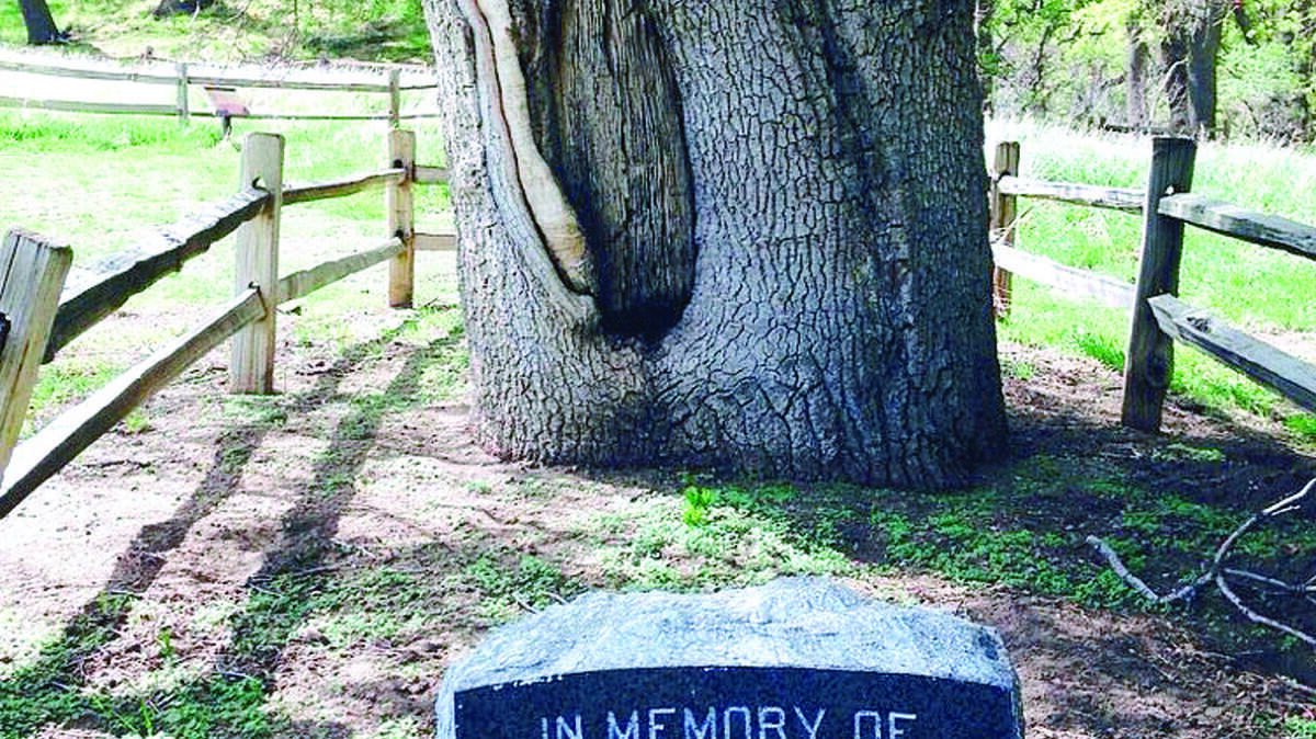 At Fort Tejon State Historic Park, the grave of French fur trapper Peter Lebeck, who was killed by a grizzly bear in 1837.