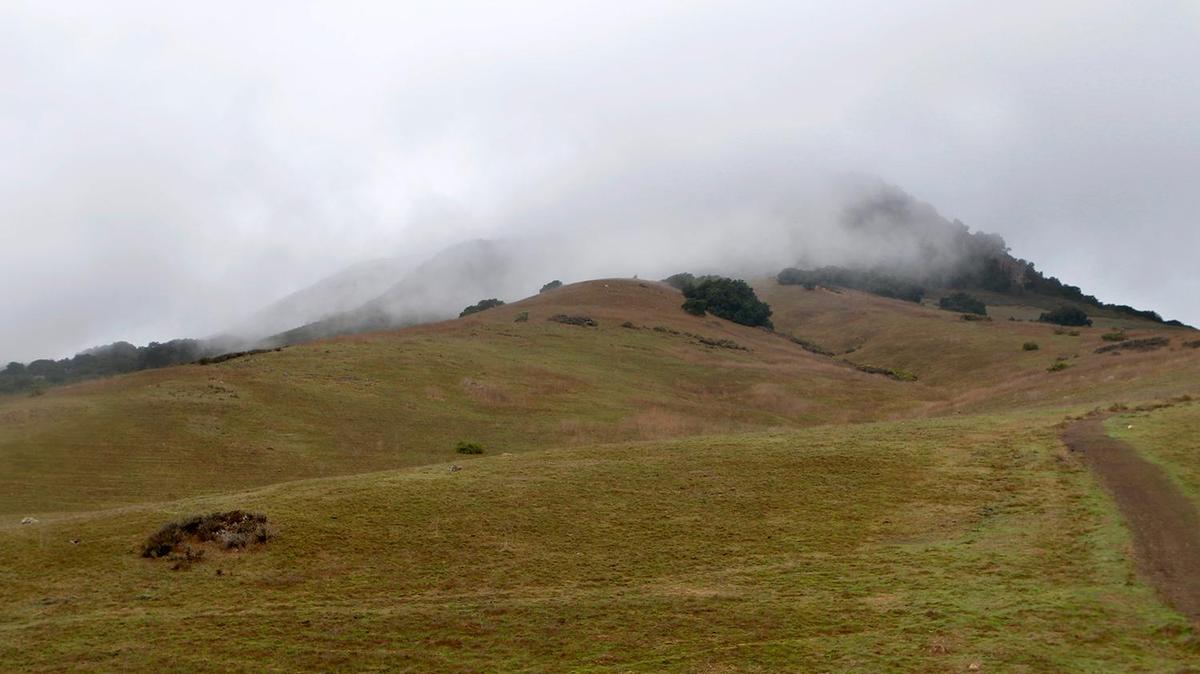 A misty morning rain gave way to a soft, low cloud cover on the mountains in San Luis Obispo. Pictured is Bishop Peak shrouded in a fog looking from Foothill Road.