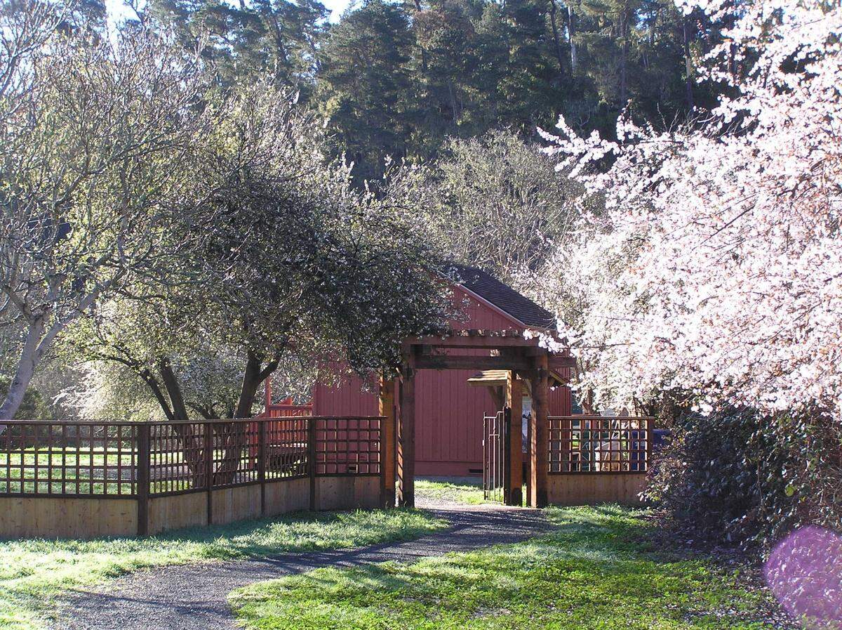 The Creekside Reserve owned by Greenspace — The Cambria Land Trust includes a small, reddish building, a rare, circa-1880s Chinese Temple that state historians have just designated as being of historical significance.
