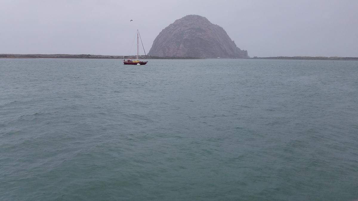 A solo moored sailboat endures the high winds in Morro Bay Harbor at 8:30 am.