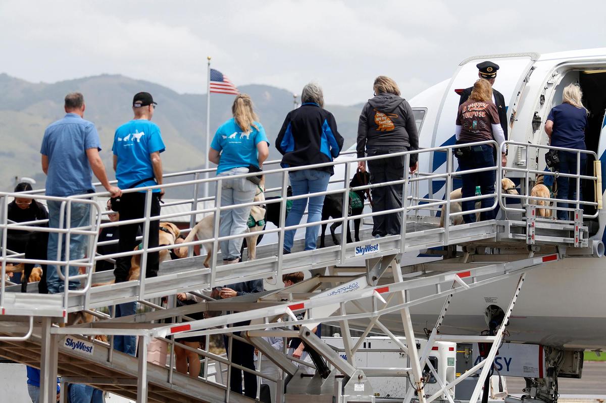 Volunteers climb aboard an Alaska Airlines jet with their guide dogs during a training exercise at San Luis Obispo County Regional Airport on May 3, 2025.