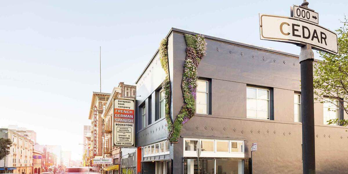 Cedar Alley in San Francisco; design by David Brenner; installation by Habitat Horticulture.