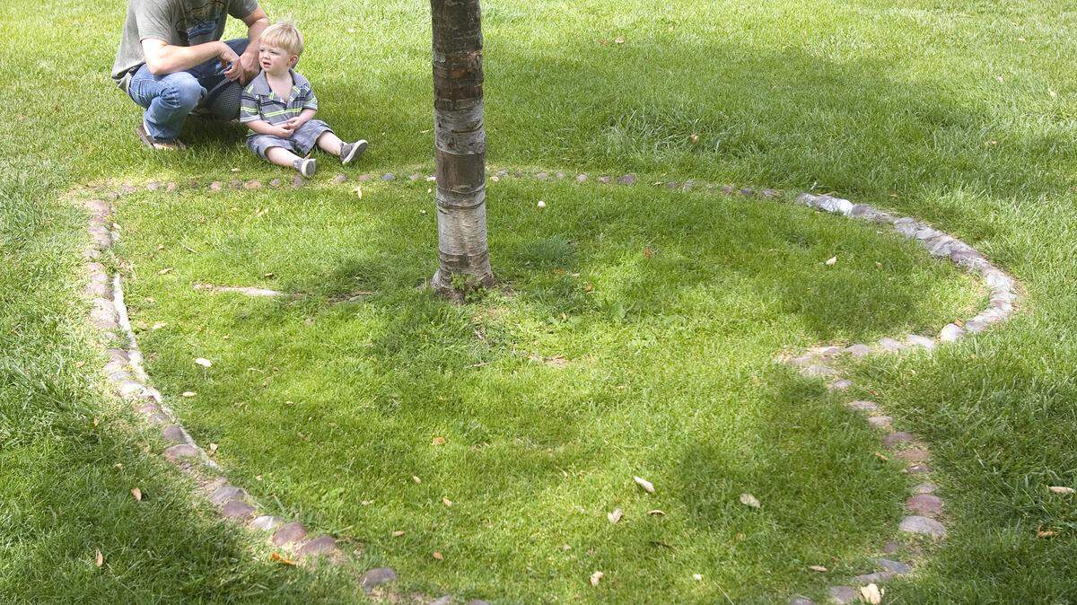 Paso Robles dad Matt Browne was out with his son, 21-month-old Sammy, when he saw stones in the shape of a heart in Downtown City Park. His post online about its origins has prompted a flurry of responses.