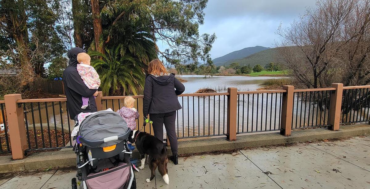 Laguna Lake has receded a little but is still high with flood water. Shea Smith, Isla, 1, Rae 2 and Rachell Smith and dog Chloe check Laguna Lake.