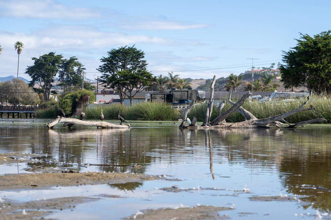 The outflow of Pismo Creek cuts through the sandy beachhead near Addie Street in Pismo Beach on Wednesday, Oct. 15, 2025. Members of the Blue Water Task Force are sounding the alarm about the amount of pollutants in the creek's flow, which they say is likely caused by humans.