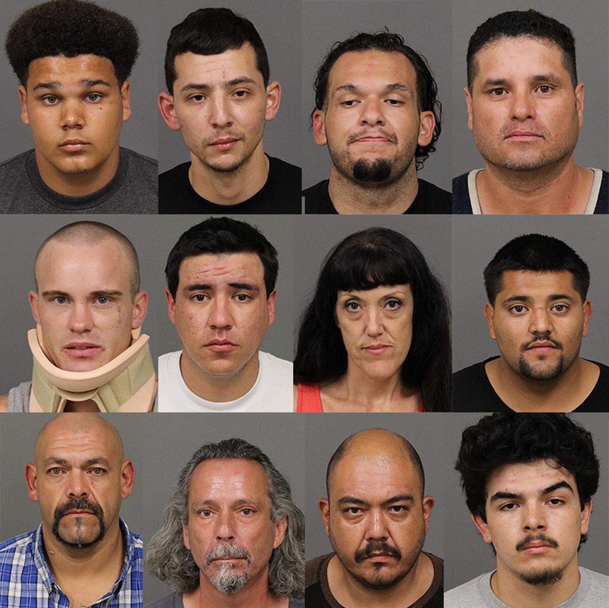 Twelve people were arrested Sunday during a probation compliance check in the North County, the San Luis Obispo County Sheriff’s Office said Sunday evening.