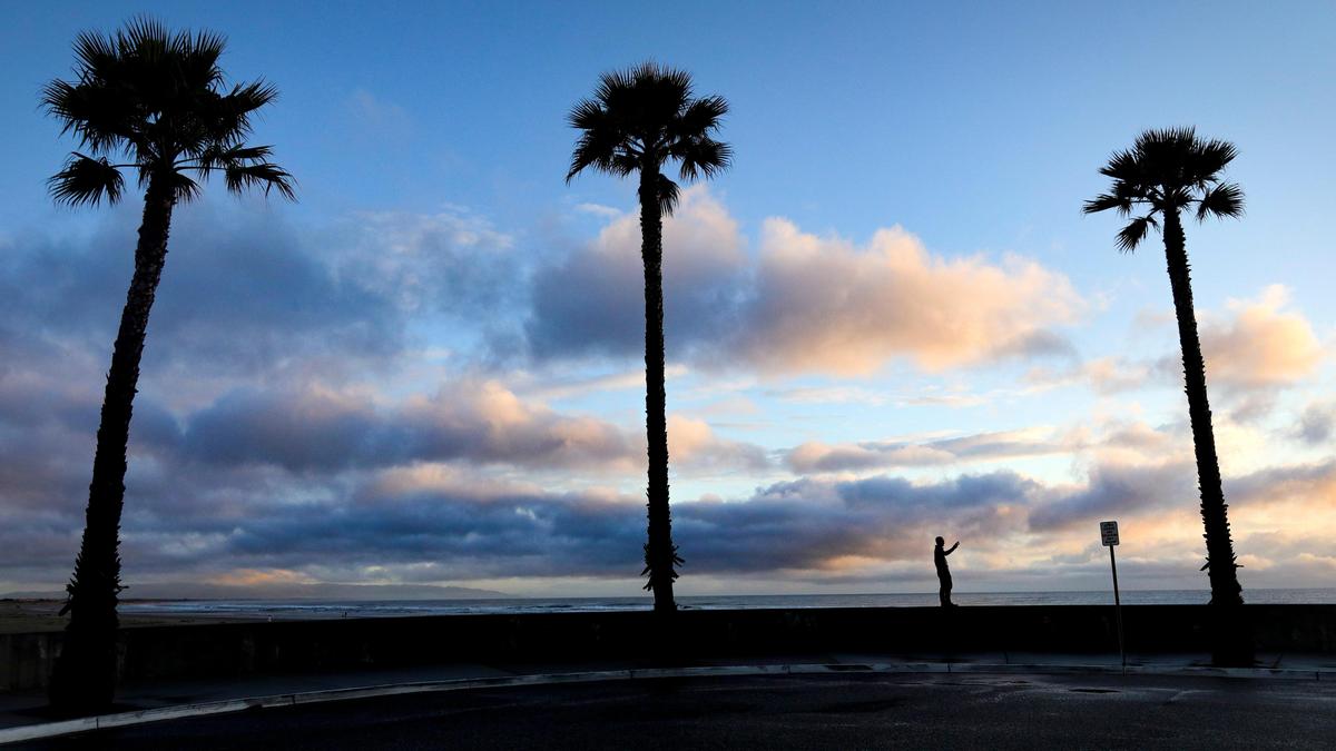 Jay Timacdog takes selfie with palm trees south of the pier at Pismo Beach in March 2020.