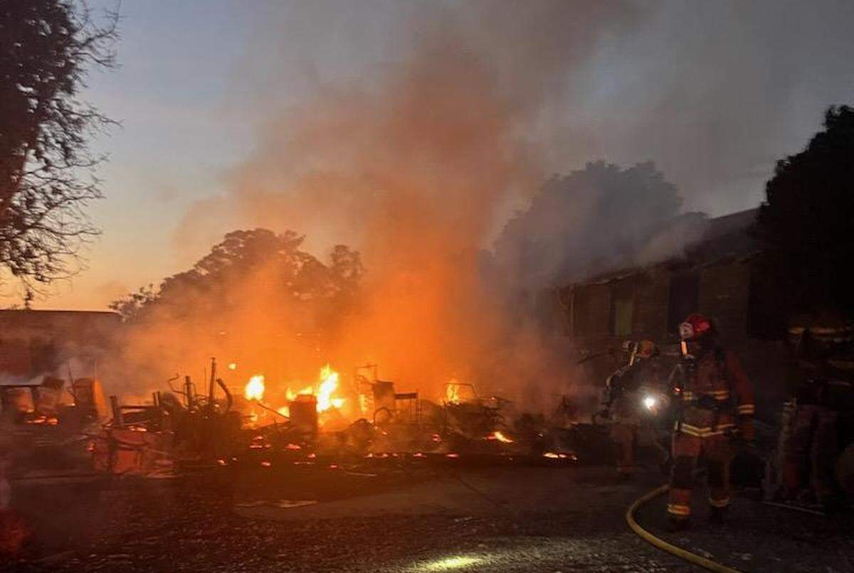 Cal Fire saved a litter of kittens as a home burned to the ground near Morro Bay on Oct. 2, 2023.
