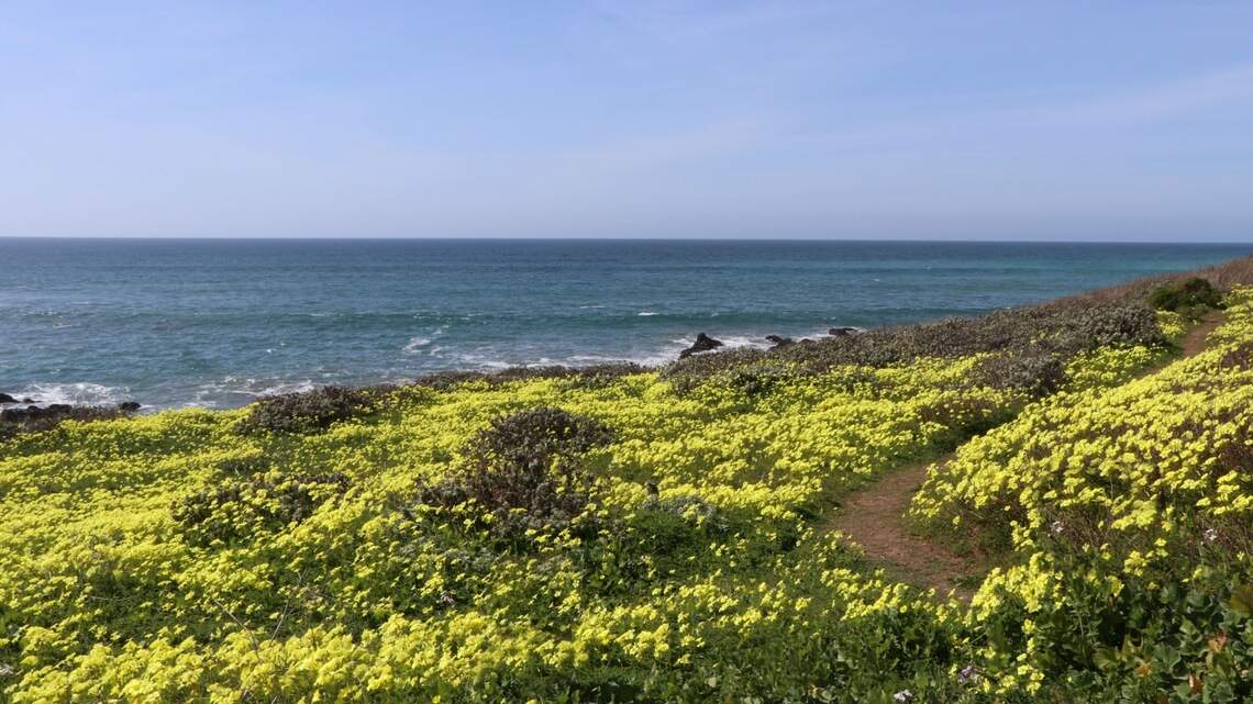 Best spring break getaway for families? This California ‘rugged gem’ made the top 10