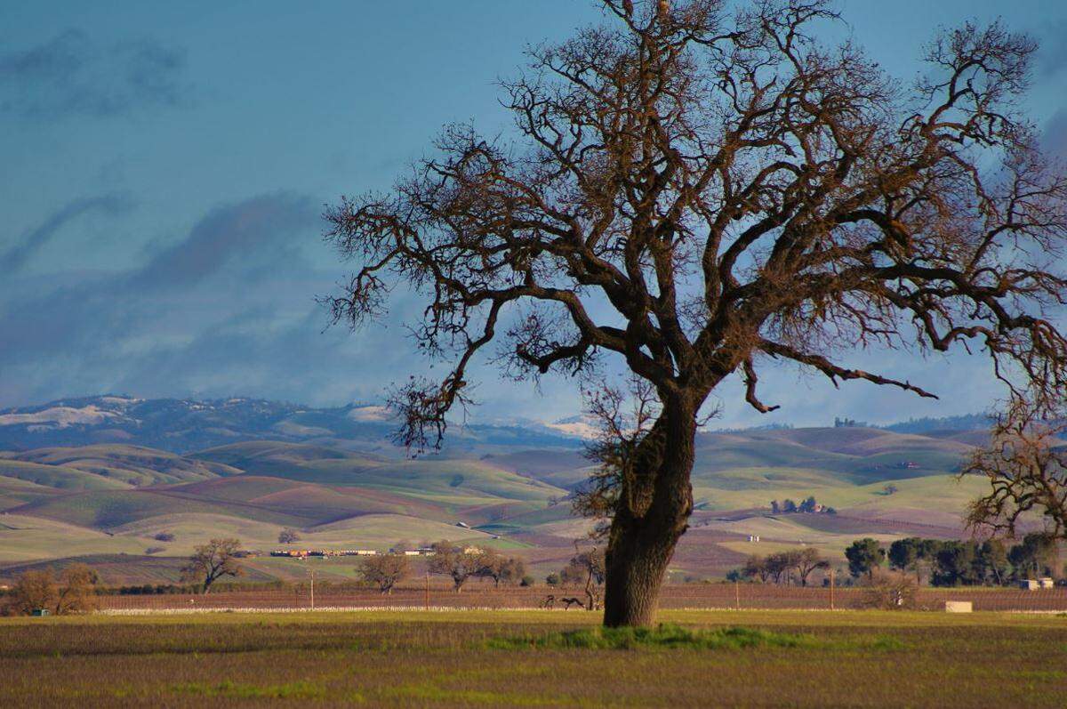 Snow was spotted from the Paso Robles Municipal Airport on Tuesday morning. This photo was taken looking northeast toward Parkfield.