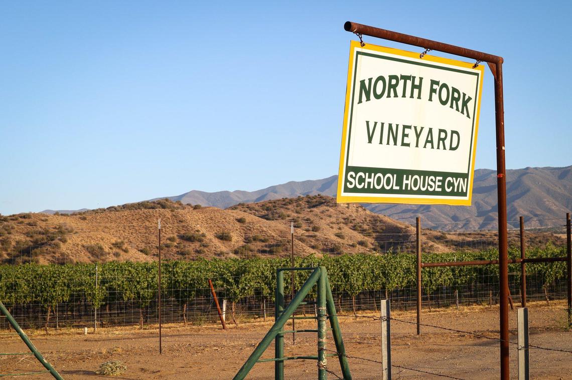 Water levels in wells around the Cuyama Valley have been falling for years but the water intensive carrot crop dominates plantings at the Eastern corner of Santa Barbara and San Luis Obispo counties. Scenes from June 22, 2022.