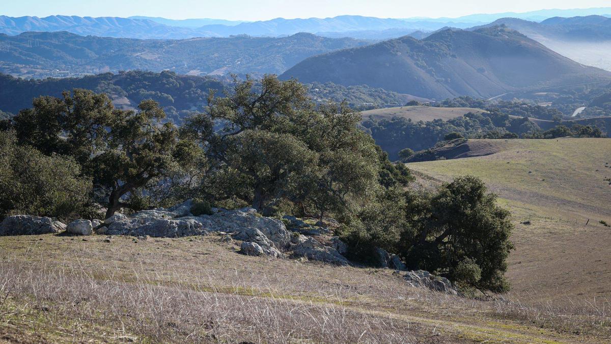 The Wild Cherry Canyon property is a 2,400 acre ranch in the hills above Avila Beach and Port San Luis. This view looks toward the hill, at right, above Pirates Cove.