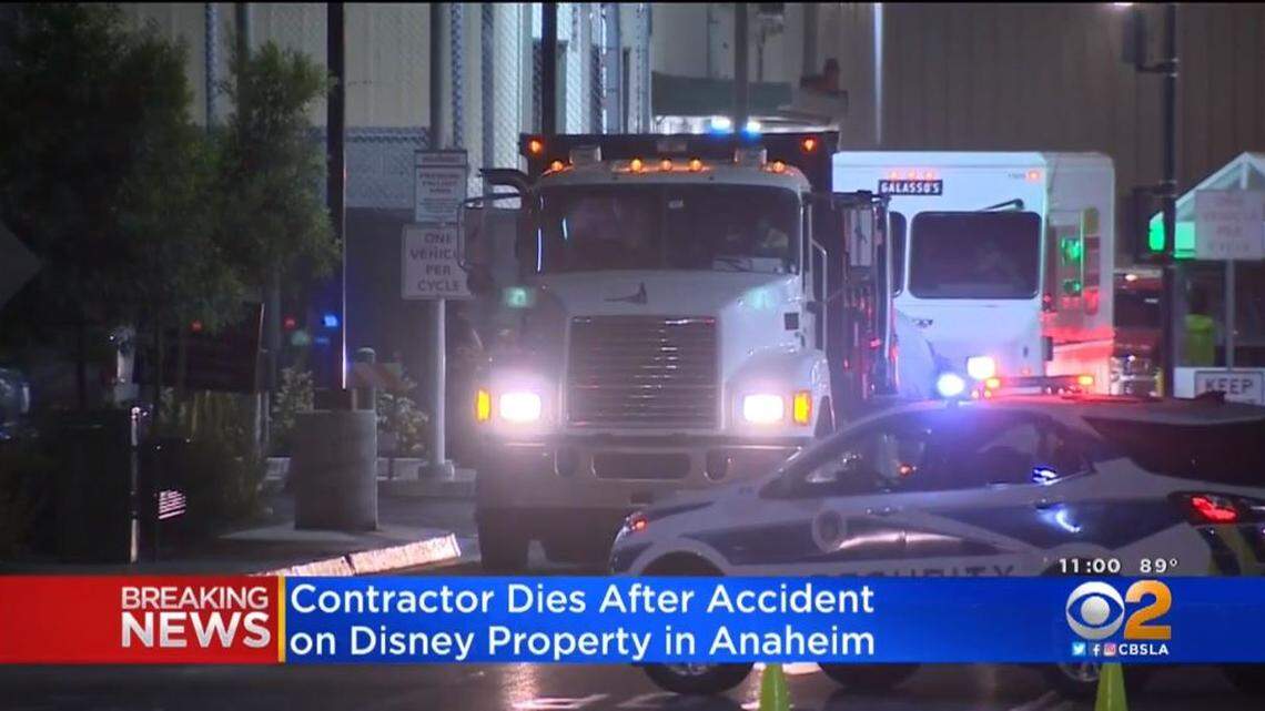 A construction worker died after he was hit by a steel plate while working on Disney property.