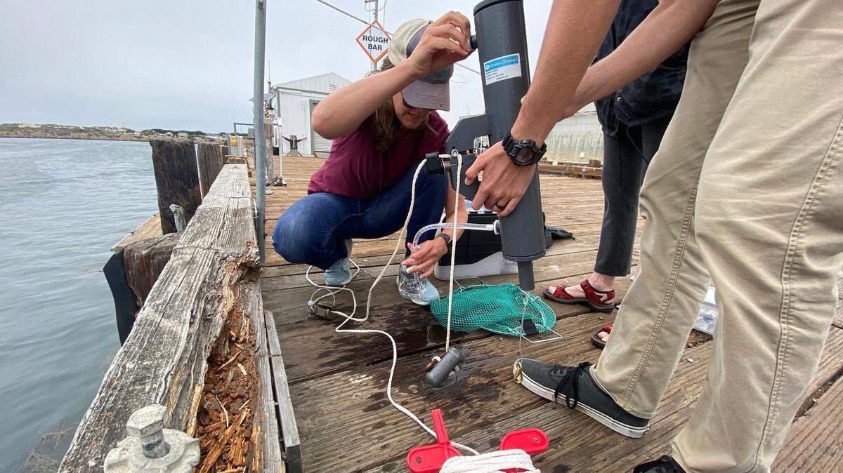 Morro Bay National Estuary Program and Cal Poly staff get ready to deploy one of the water quality sensors in the estuary near the T-Pier in Morro Bay.