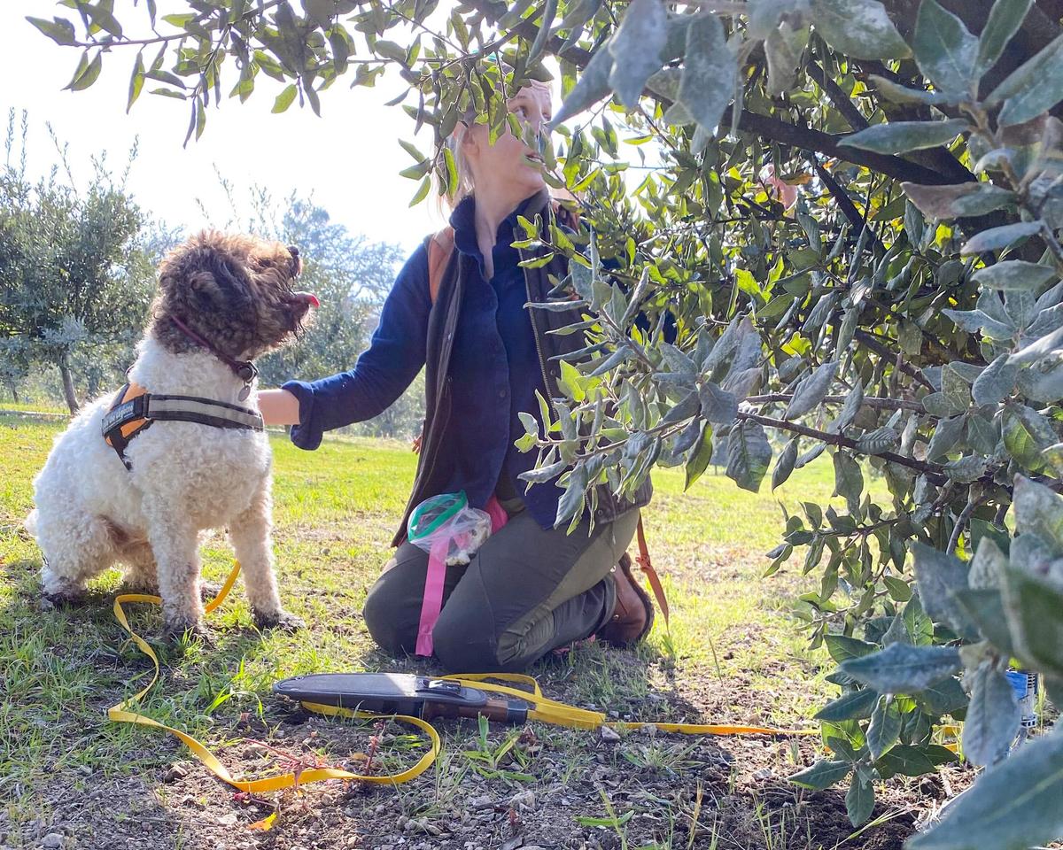 Alana McGee with Lolo the truffle hunting dog, a Lagotto Romagnolo trained to sniff out black truffles.