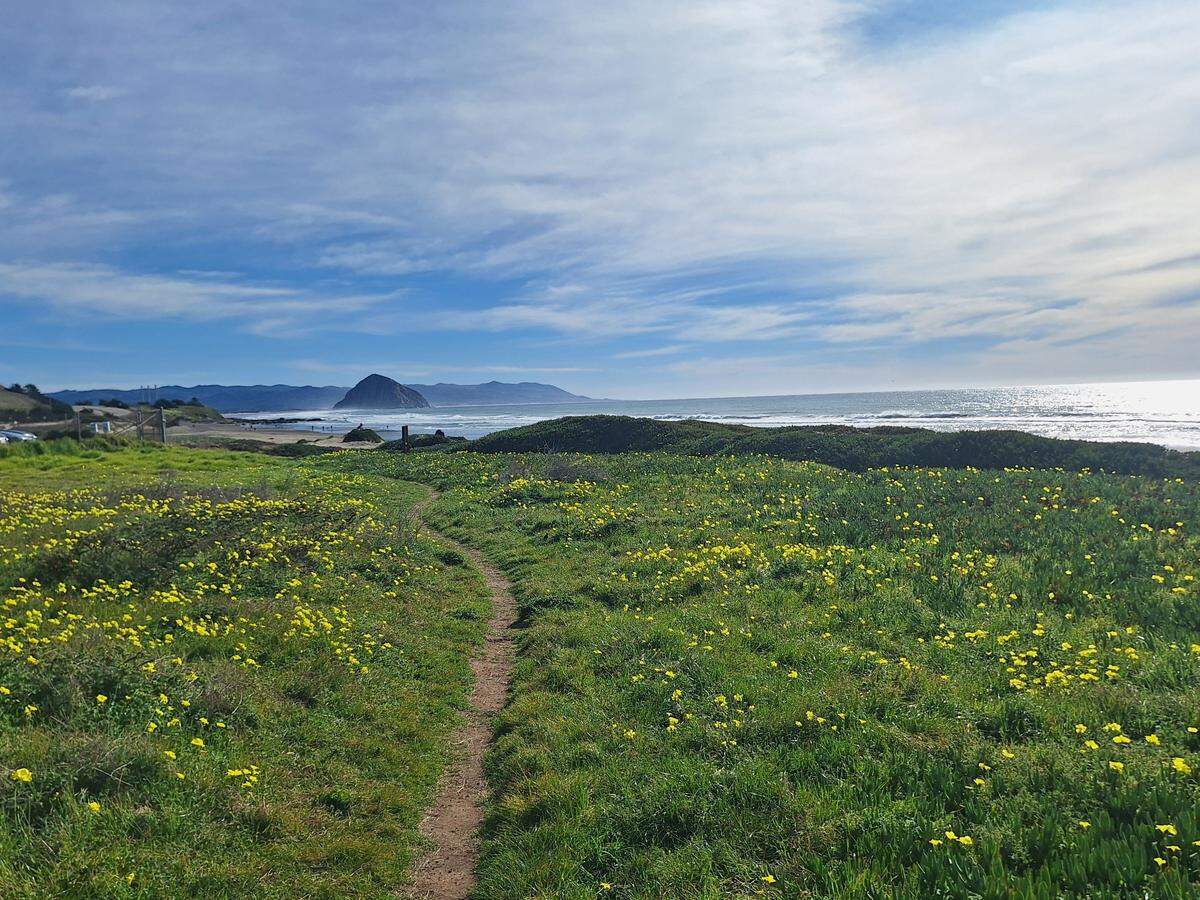 A multi-use trail connecting Cayucos and Morro Bay will offer scenic views of the coast along Highway 1, replacing dirt paths with a safe biking and walking route away from the highway. The $12 million project needs to secure another $2 million state grant before construction can start in 2027.