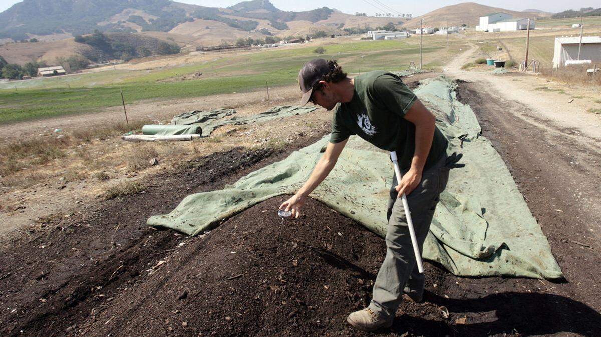 Carlos Torres checks the temprature of compost at the Cal Poly Organic Farm in 2008.