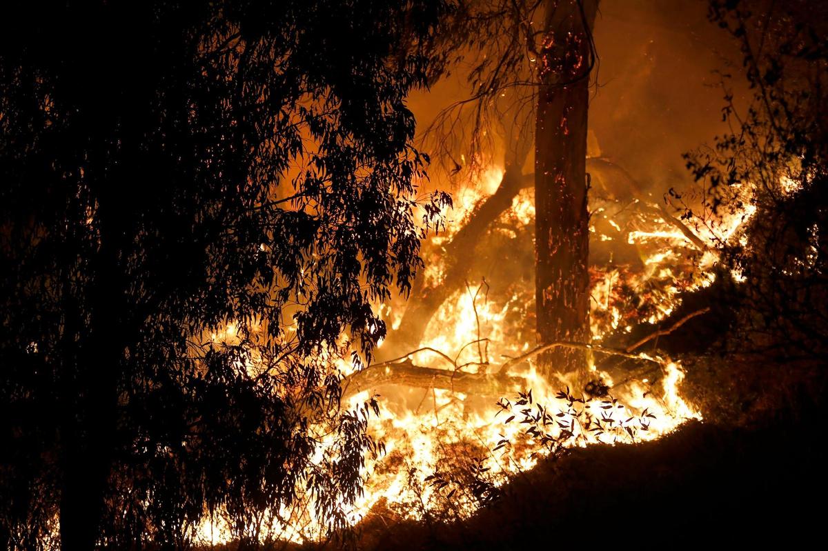 A fire which reportedly began in a structure burned into the creek bottom area behind the Department of Motor Vehicle building off South Higuera St. The fire is burning into eucalyptus trees.