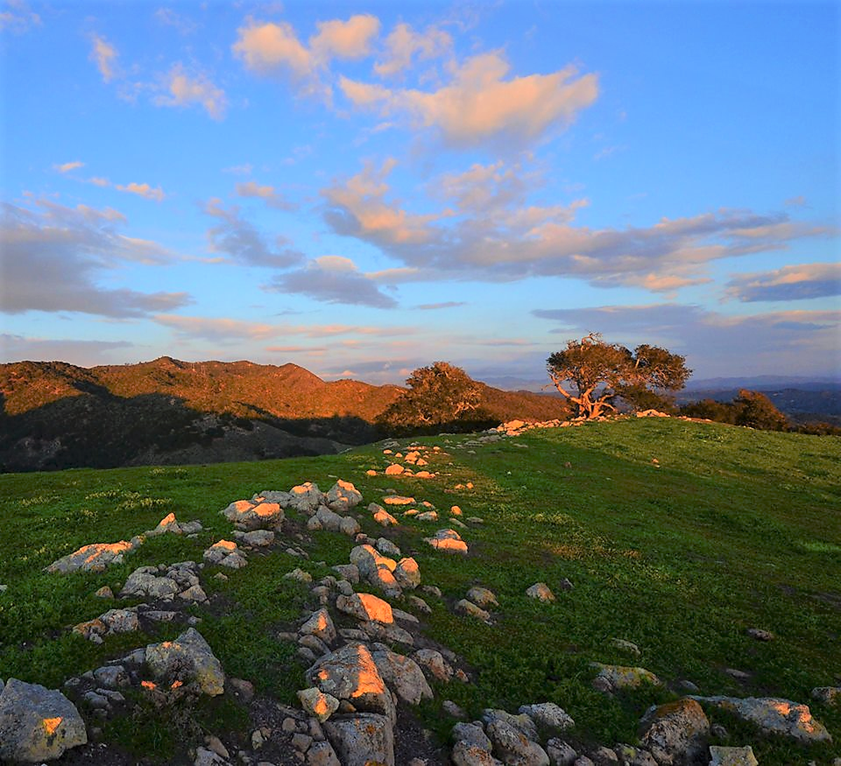 Green grass and a sunlit hillside near Wild Cherry Canyon by Port San Luis.