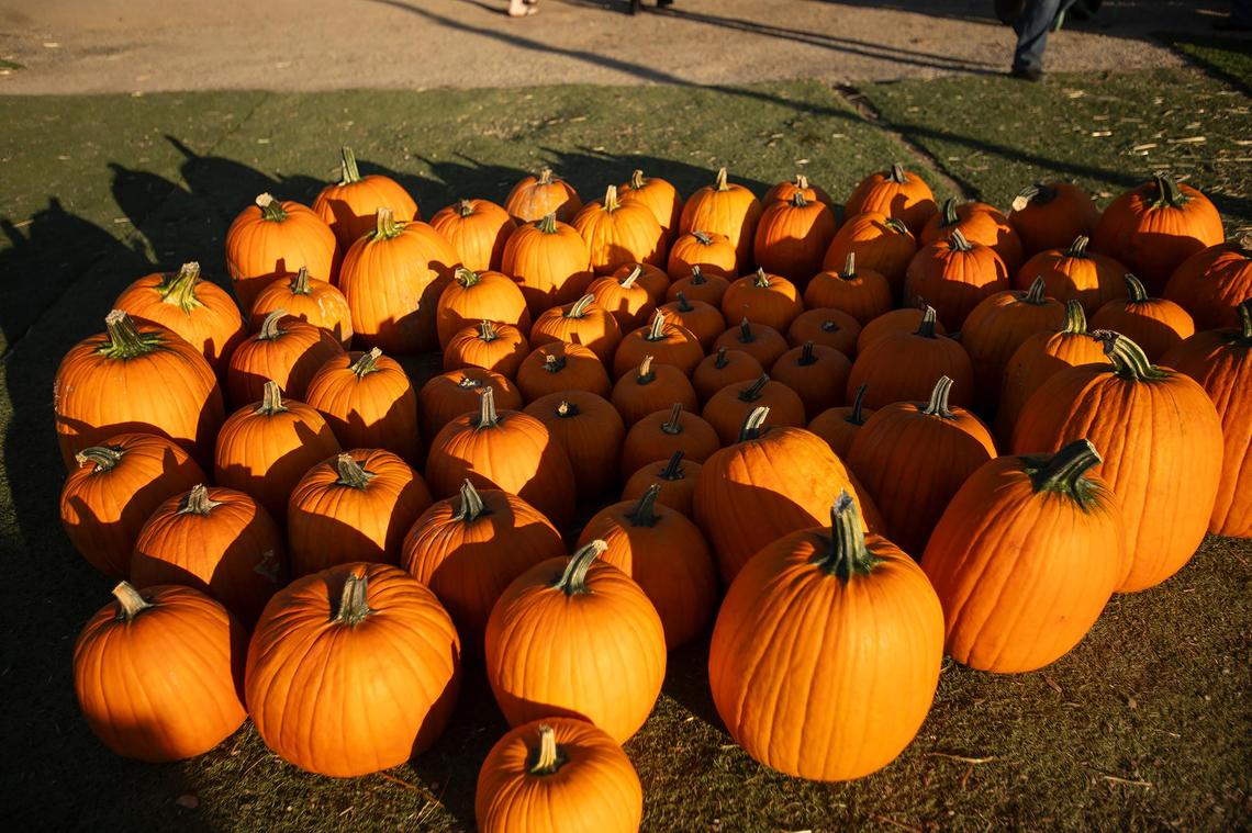 Brookshire Farmson Los Osos Valley Road at the edge of San Luis Obispo city limits sells pumpkins and a harvest of gourds, squash, fruits and vegetables. 