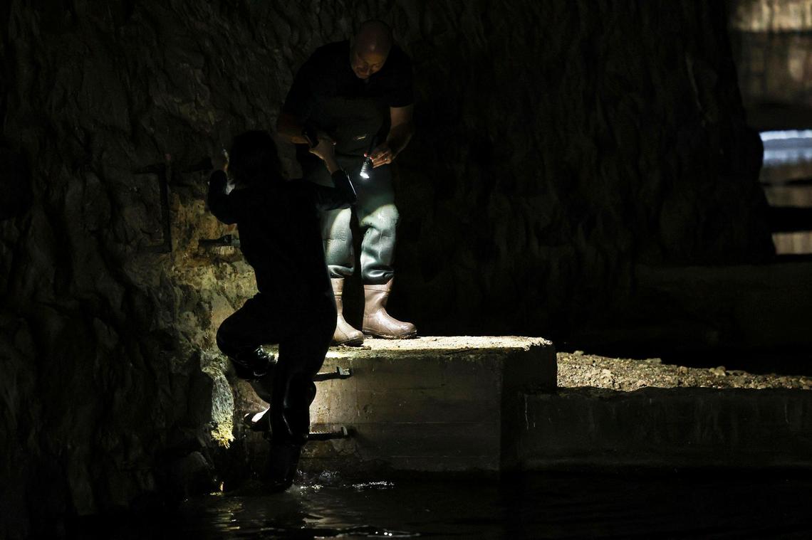 San Luis Obispo city biologist Freddy Otte leads a tour of the underground San Luis Creek on Oct. 28, 2024.