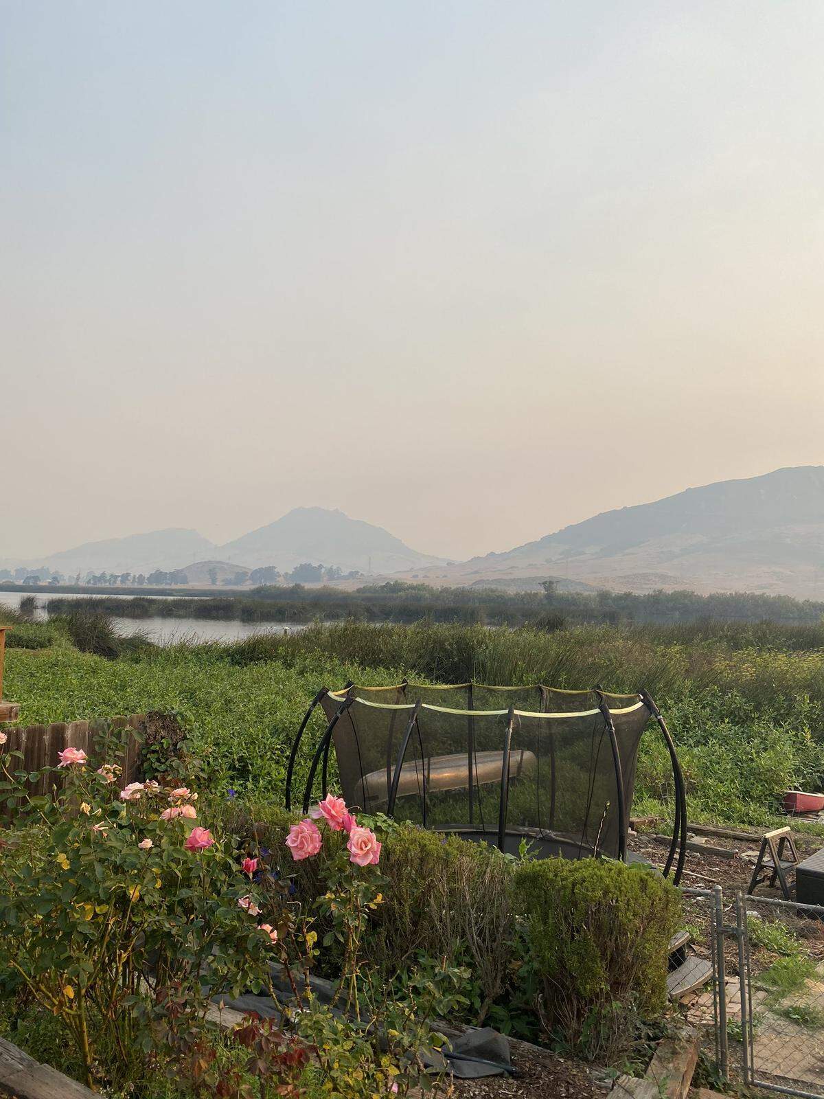 View from Laguna Lake on morning of Wednesday, Aug. 19, 2020.