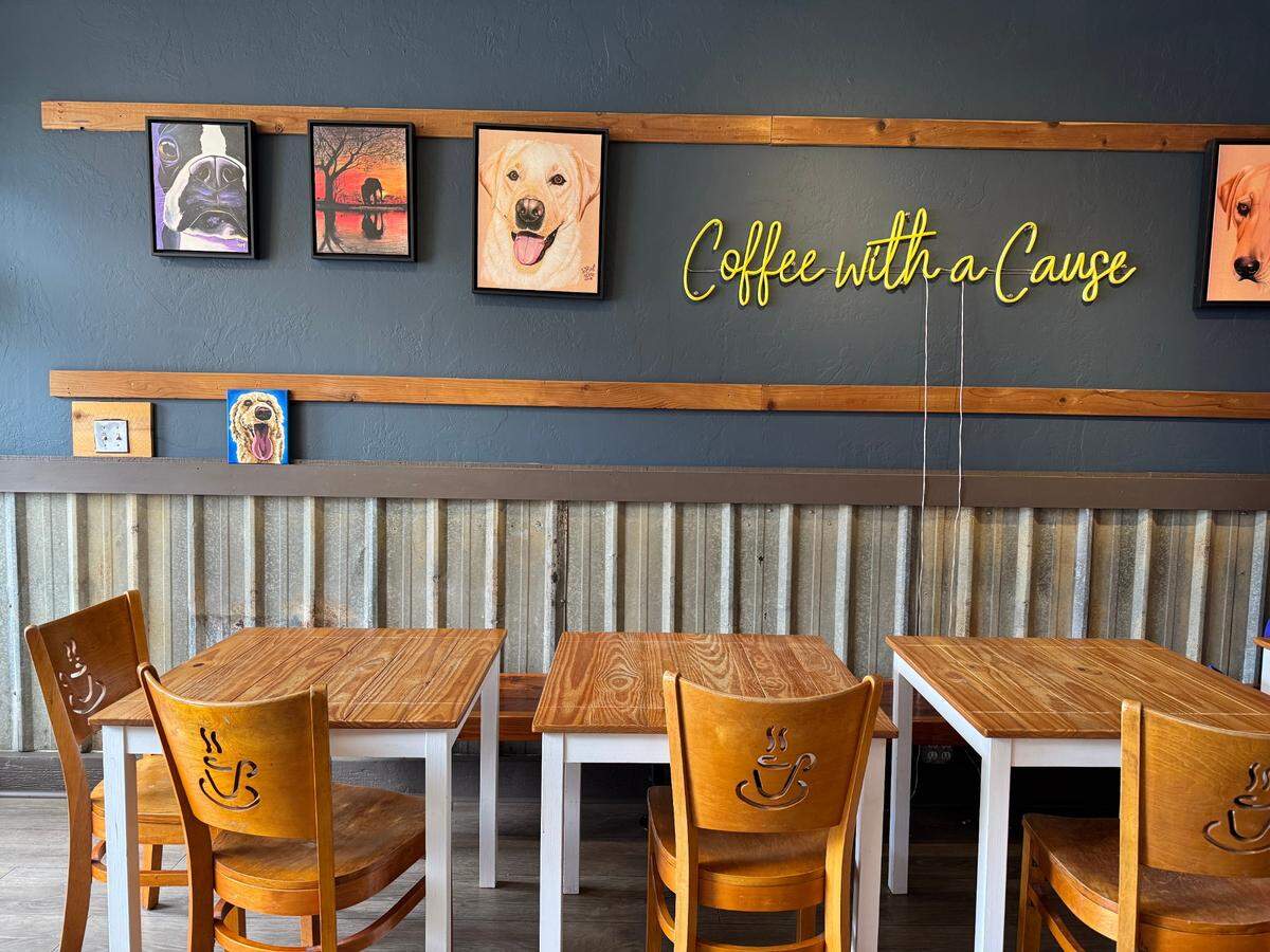 The owners of Top Dog Cafe Bar in Morro Bay kept interior decorations exactly the same as the previous iteration of the beloved, dog-friendly cafe. Pictured here are portraits of dogs and a yellow neon sign.