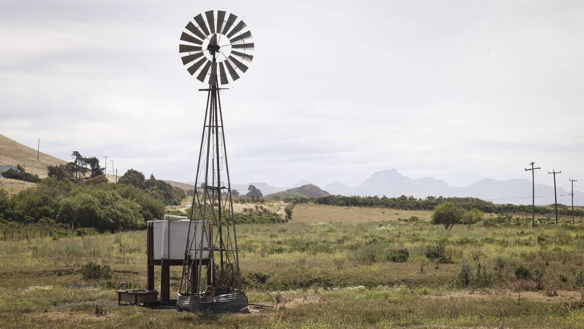 The 350-acre Anderson Ranch is for sale for $18 million, and yak tityu tityu yak tilhini Northern Chumash Tribe is fundraising to purchase it. The property includes chaparral habitat, seen here on May 26, 2026.