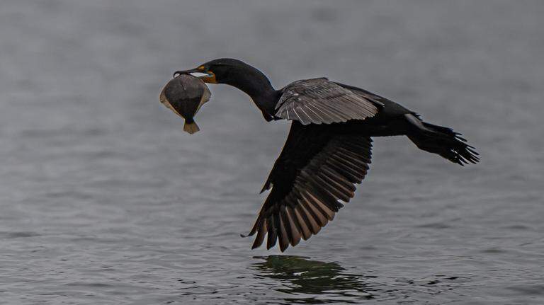 The rain’s not over yet. See what’s ahead in SLO County’s weather forecast