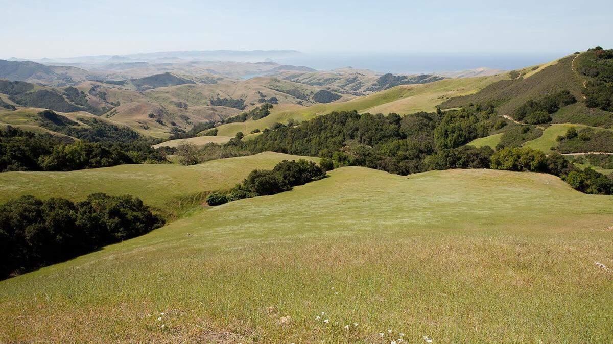 A view of the 1,779-acre Hill Ranch near Cayucos, which has been owned by the Fitzhugh family since the 1800s. The family created an agricultural conservation easement with the Land Conservancy of San Luis Obispo County to preserve the land.