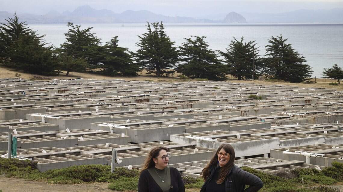 SLO County was home to the largest abalone farm in U.S. Can ytt Tribe revive it?