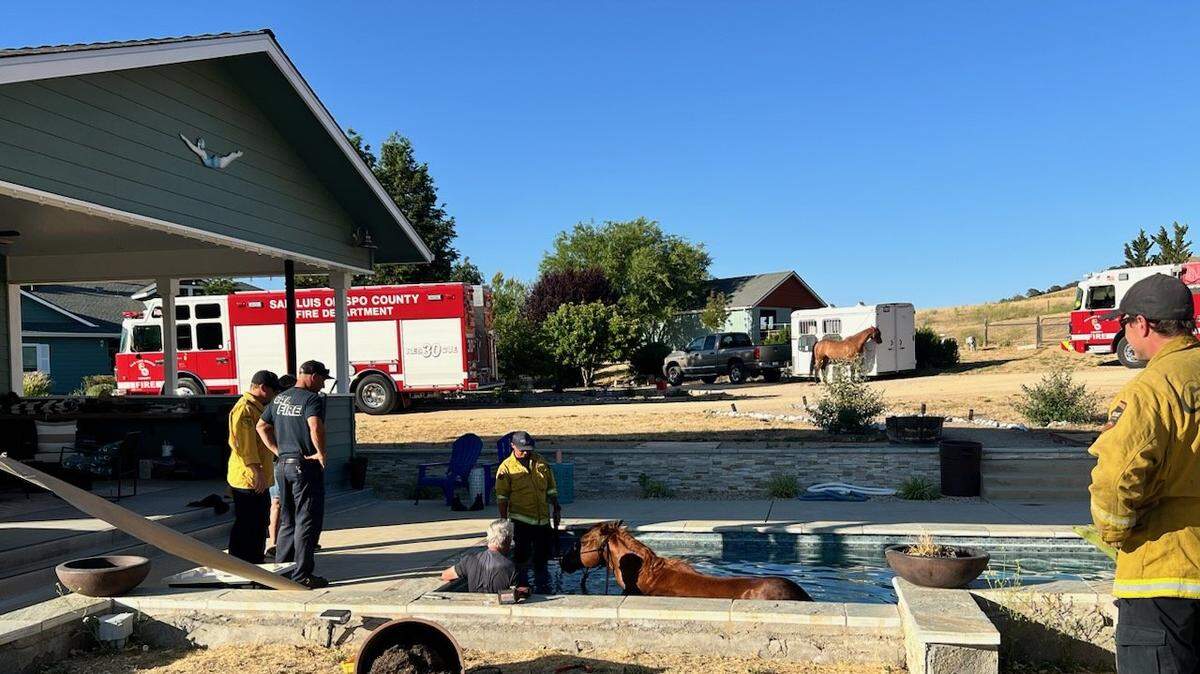 Firefighters respond to a scene of a horse stuck in a pool in rural San Miguel on June 15, 2024. 