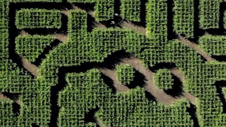 E. coli linked to SLO County farm sent 3 kids to intensive care. What to know