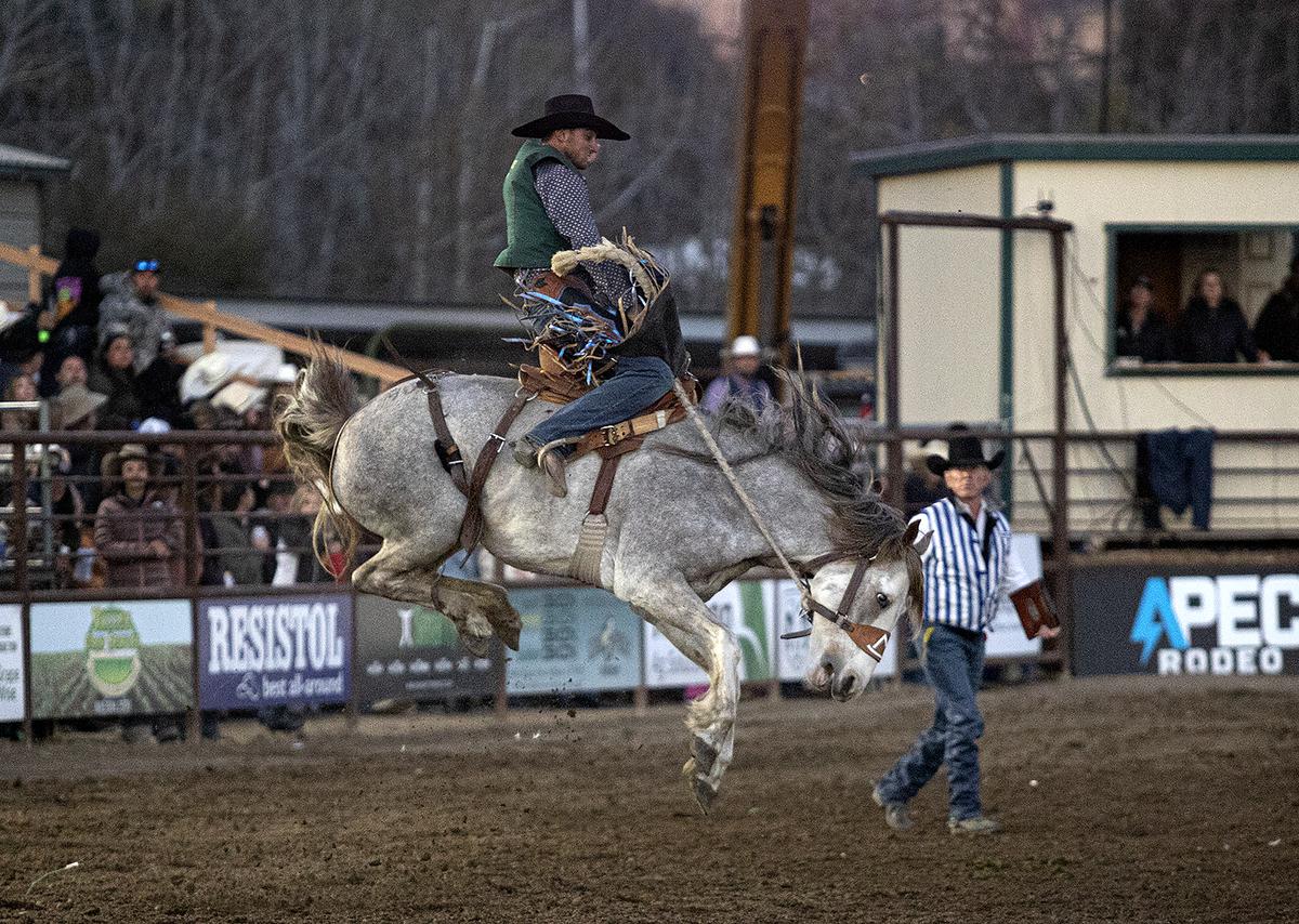 Cal Poly Rodeo Team member Leland King competes in the Poly Royal Rodeo on Saturday, April 15, 2023. The 81st annual Poly Royal Rodeo was held Friday and Saturday, April 14 and 15, 2023, at the Cotton Rosser Rodeo Complex in San Luis Obispo.