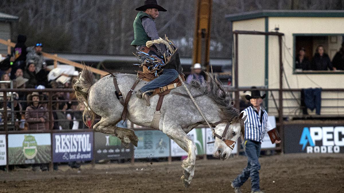 Cal Poly Rodeo Team member Leland King competes in the Poly Royal Rodeo on Saturday, April 15, 2023. The 81st annual Poly Royal Rodeo was held Friday and Saturday, April 14 and 15, 2023, at the Cotton Rosser Rodeo Complex in San Luis Obispo.