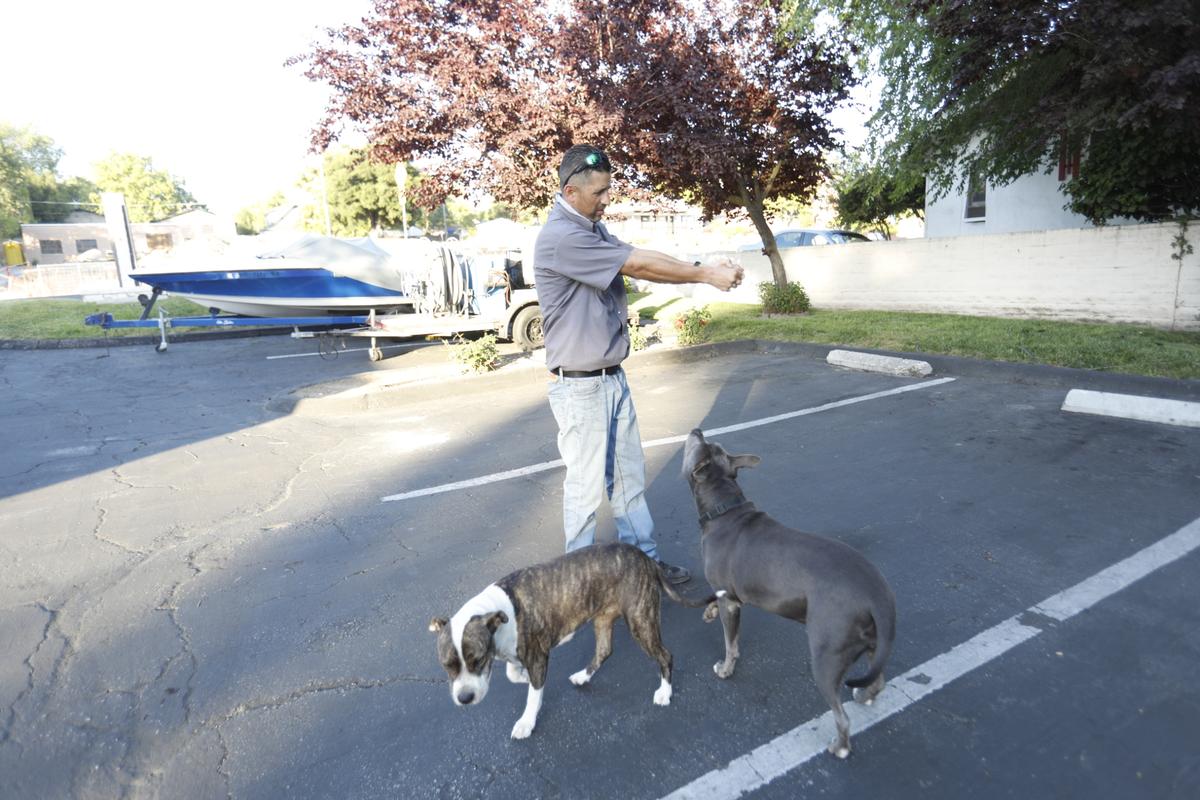 Junior Gonzales demonstrates where the deputy fired his gun outside his family’s Atascadero business, Fashion Dry Cleaners & Laundry, hitting Roxi, left. At right is his other pit bull, Luna.