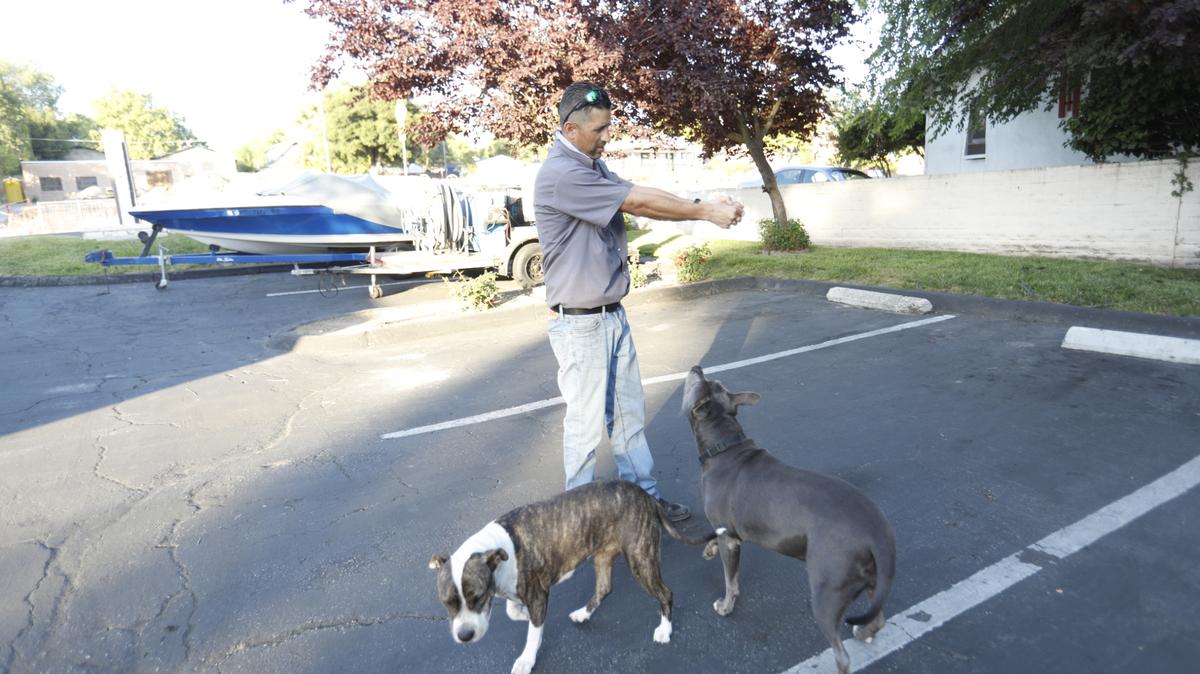 Junior Gonzales demonstrates where the deputy fired his gun outside his family’s Atascadero business, Fashion Dry Cleaners & Laundry, hitting Roxi, left. At right is his other pit bull, Luna.