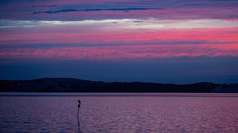 Will SLO County finally get a break from muggy heat? See this week’s forecast